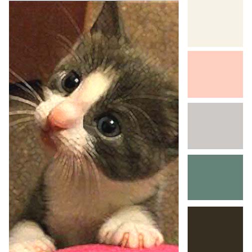 animals-ems-cat-colour-palette-1