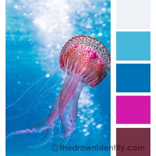 ocean-jellyfish-colour-palette-13
